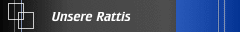 Unsere Rattis