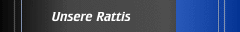 Unsere Rattis